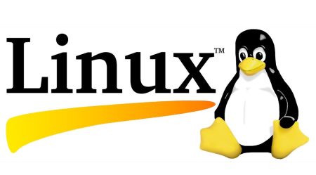 لینوکس چیست؟ معرفی کامل لینوکس ، تاریخچه ، کاربردها و توزیع ها