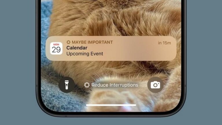 Use Reduce Interruption iOS 18.1